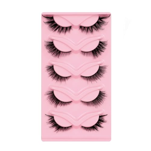 ܂ Z 5yA tHbNXX^C ACbV O܂ i` ėp\ \ p RXv 3D   炩 K  ZNV[ (XF-HZ-5)