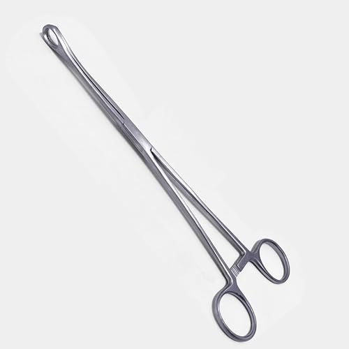 Image of Sponge Holding Forceps 10 Inch | Stainless Steel Sponge Clamp | Autoclavable Surgical Instrument for Hospital, Clinical & Gynec Use | CE Certified