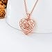 SOULMEET 18k Rose Gold Plated Silver Rose Gold Locket Necklace That Holds 2 Pictures (Locket only)