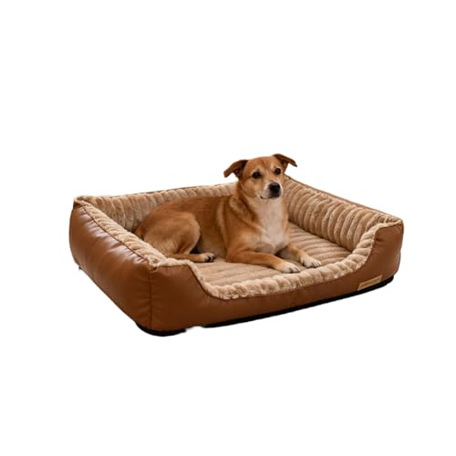 �L �n�E�X �y�b�g �~ �� | �~�p �h�� �y�b�g�x�b�h �I�[�v���^�C�v �ӂ�ӂ� �L �� ���p �}�b�g | �ϝS��v ���ʕی� ����\ ��^�T�C�Y ����~�� ��� | �h�� �����x �N�b�V���� �ۉ� �T���S�t���[�X �f�� �y�b�g �}�b�g �����b�N�X �X