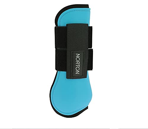 NORTON- Polainas de neopreno negro para equitación caballo (PUR SANG, azul ciel)