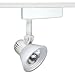 Trac-Lites Low-Voltage Silver Light with Opal-Frost Step Glass