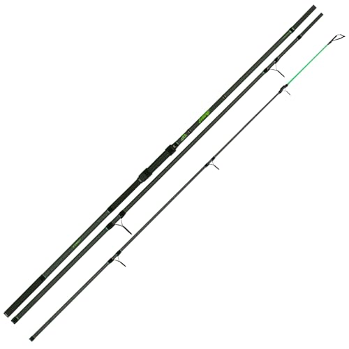 Canne à anguille Jade Instinct FTM scion haute sensibilité en carbone