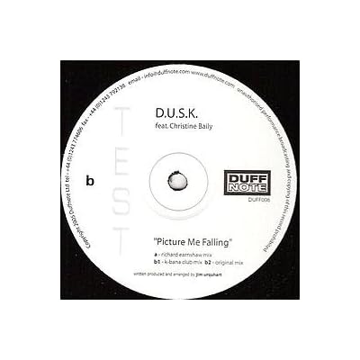 D.U.S.K. - Picture Me Falling - Duffnote Recordings