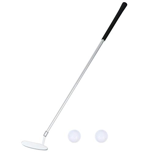 BIUDECO Compact Golf Putter Set Detachable Rod for Practice and Travel Made of Zinc Alloy