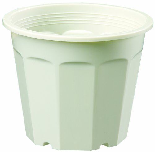大和プラスチック 鉢 ポット 花鉢 6号 187×H146 クリーム