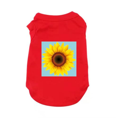 [XANPYO] ybg  ybg TVc H~ߑ _炩 XXL h R[g t@bV^ ^ tH~ ^ UoEFAɃybgtF[o[ ?Oh  t   ƒ U