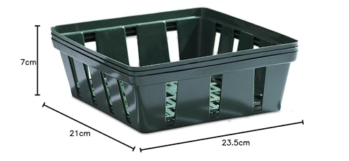 Windhager Blumenzwiebel-Schale, Pflanz-Schale, Anzucht-Schale, Zwiebel-Pflanzkorb, Blumenzwiebelkorb, eckig, 23,5 x 21 cm, 3 Stück