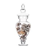 Large Apothecary Jars Glass, Clear Glass Candy Jar wiht Lids, Elegant Glass Candy Containers, Decorative Glass Jars for Wedding, Display and Party (Height: 15', Diameter: 6.7')