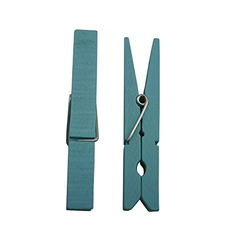 Wuuycoky ウッドクラフト洗濯バサミ洗濯釘と春73mmカラーブルーパック60個