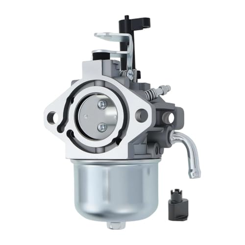 Carburateur anti-calage pour moteurs de jardin de série 245432 et 245437