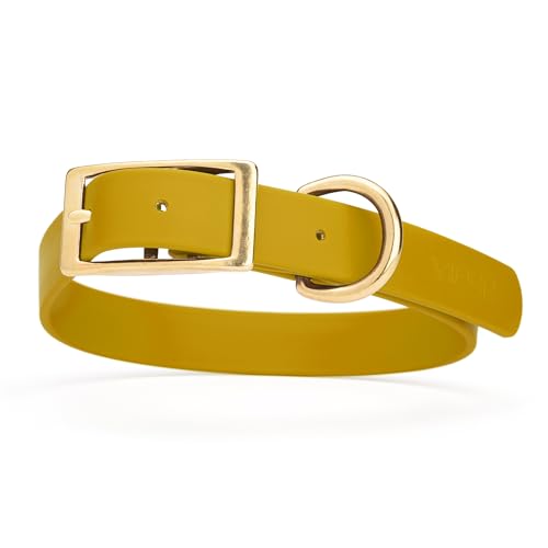Image of Viper Biothane Heavy Duty Waterproof Dog Collar Strong Coated Nylon Webbing w /Solid Brass Hardware Odor-Proof for Easy Care to Clean High Performance Fits Small Medium or Large Dogs, Treasure Gold