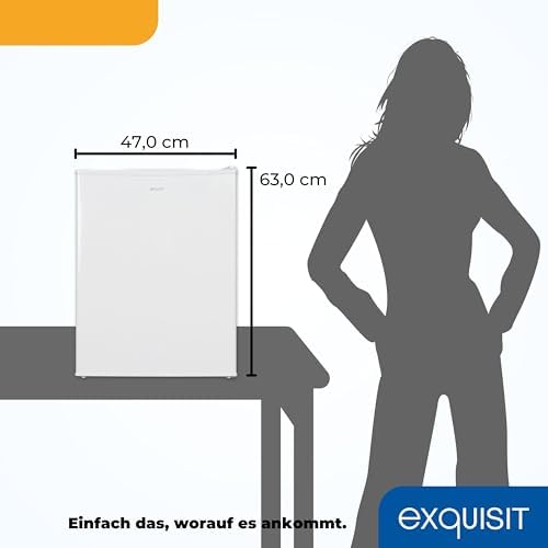 7. Bild von Exquisit Mini Gefrierschrank GB60-150E weiss | 42 l Nutzinhalt | Schwarz | Klein und kompakt | Türanschlag wechselbar | Gefrieren