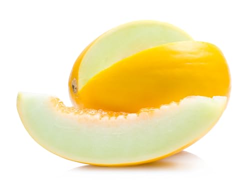 Yellow Honeydew Melon