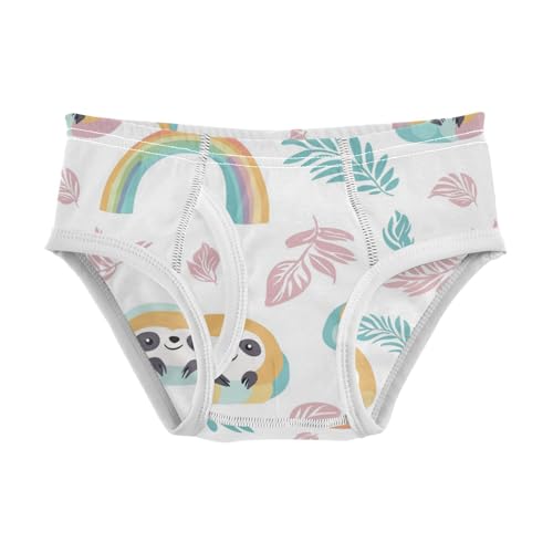 Wusikd Cute Sloth Boys' Underwear Cotton Rainbows Leaves Boys Briefs Soft Toddler Underwear 2T