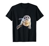 Seelöwe Seerobben Geburtstag Geschenkidee