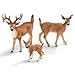 Schleich 14710 White-Tailed Doe Toy Figure, Multicolor