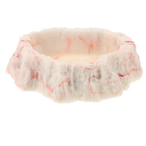 ERINGOGO Reptile Feeding Bowl Decorative Resin Water Dish for Lizards Tortoises and Snakes Durable and Easy to Clean for Food and Water Reptile Habitat