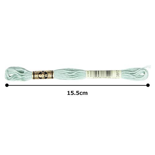Image of DMC 6-Strand Embroidery Cotton Floss, Light Celadon Green