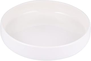 Ipetboom Verme Prato De Água Réptil Prato De Alimentação Terrário Réptil Recipientes De Comida De Vidro Recipiente De Bebida Recipientes Para Comida Tigela De Vidro Para Comida De Réptil