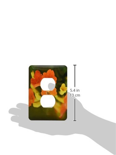 Fleurs colorées plaque double prise pour masquer les fixations électriques ternes - 4
