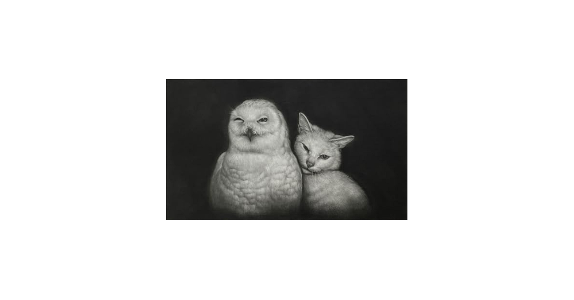 生田宏司　猫とフクロウの銅版画 A4サイズ 生田宏司 猫とフクロウの銅版画 A4サイズ 生田宏司 猫とフクロウの銅