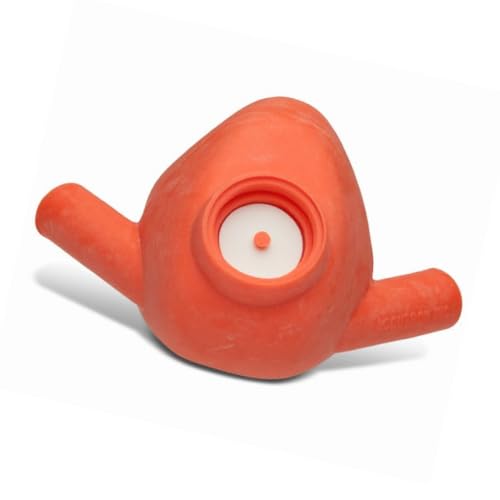 Accutron 33016-10 Personal Inhaler Plus Nasal Hoods Medium Outlaw Orange 24/Pk