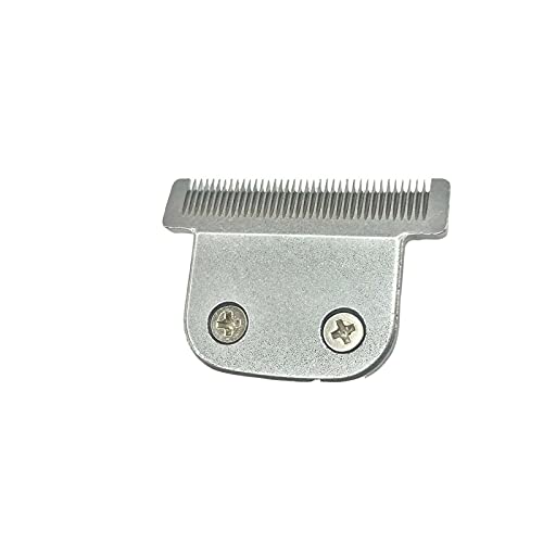 small tank fish types