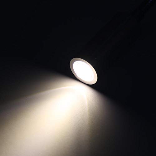 FTVOGUE Lampada da lettura a parete con luce flessibile a collo di cigno Lampada da letto a luce bianca calda/fredda AC85-265V 1W / 3W(warm white(3500k)-1W)