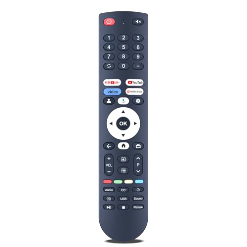 Télécommande vocale RETROSUN avec micro intégré pour téléviseur FPD Palette Series CG32-P3