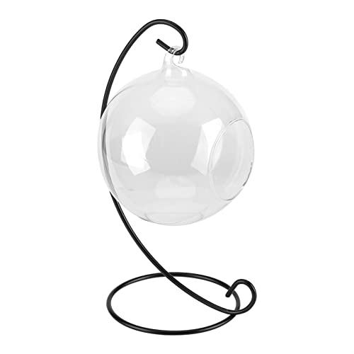 Dilwe Vase en Verre Suspendu, Grand Terrarium avec Cadre en Fer élégant pour Le Jardinage Intérieur et la Décoration de la Maison