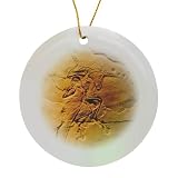 3dRose Archaeopteryx Porcelain Ornament
