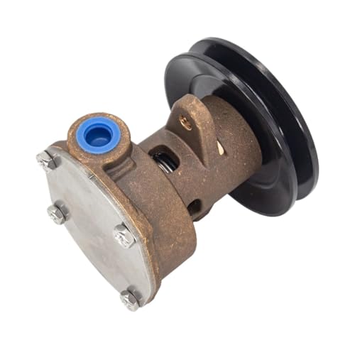 Pompe à eau de mer robuste avec poulie intégrée pour modèles 267373 et G906P