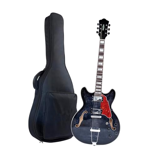 Guitare électrique jazz débutant pour s'exercer au salon en musique