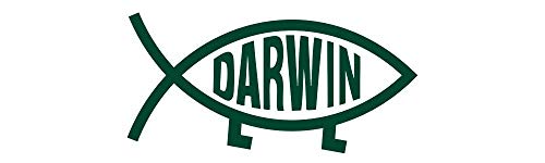 HZ Graphics Magnet Darwin Evolution Creationism Vinyl Magnetic Car Bumper Magnet Sticker 5"
