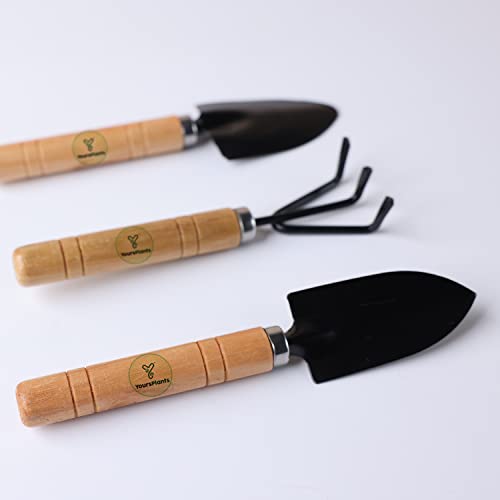 YoursPlants 3pcs Wooden Gardening Tool Set (Beige)