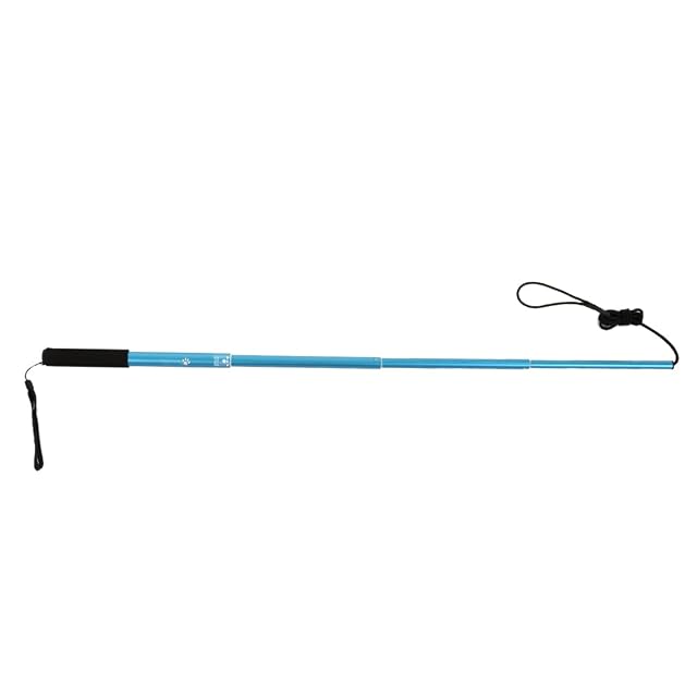 Foto 2 de 8 de Kavolet Juguete interactivo para perros para perros, poste de pesca para perros