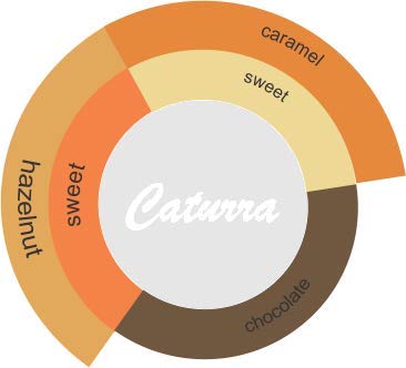 Miniatura 2 de Mesa de los Santos Café orgánico Colombiano Gourmet Café en grano entero