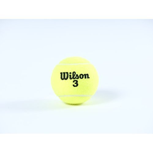 Wilson Profile All Court Tennis Ball - 1 Case (72 Balls), Yellow #TOP5