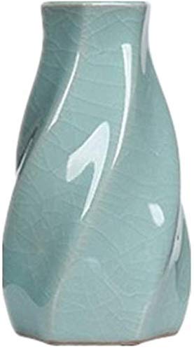 Vase de chambre pour culture d'eau et décoration florale zen