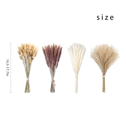 White Natural Pampas Grass Dried Flores Decorativas miniatura 2