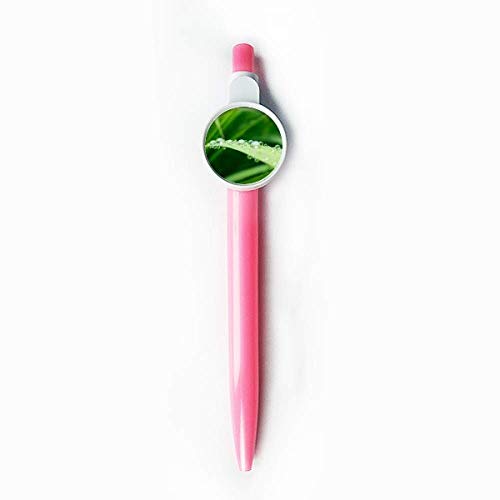 Stylo à bille rétractable bleu motif feuille verte DIYthinker pour écriture manuscrite