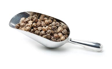 Moringa Seeds Wingless 1 Oz. - Pkm1 Variety - Edible Snacking - Planting - Moringa Oleifera - Malunggay - Semillas De Moringa - Drumstick Tree - Non-Gmo - 100 To 125 Seeds #TOP6