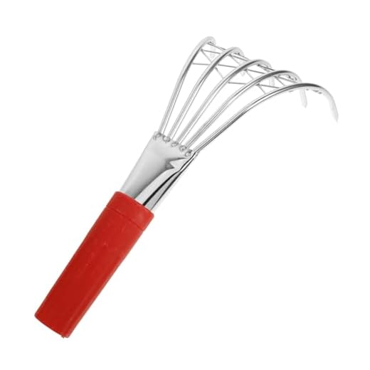 Lightweight Kids' Beach Rake Set