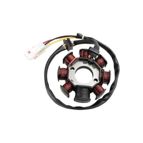 Joint de stator pour Beta RR 250 d'allumage idéal pour l'enduro extrême