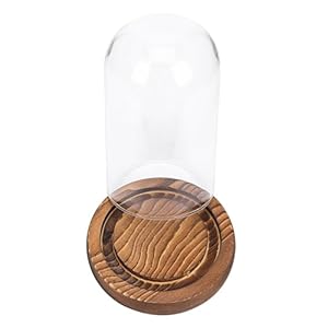 Pretyzoom E00M8QGB2Q Kinkiet Szklana Kopuła