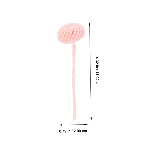 Flores secas prensadas para manualidades y decoración miniatura 4