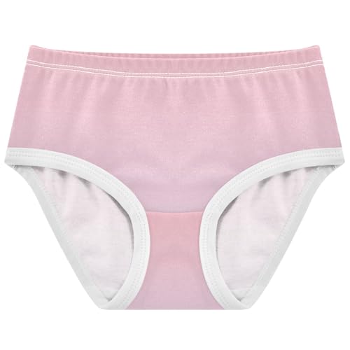 Joisal Durable Toddler Underwear Floral 2t Cotton Panties for Girl Blush Pink Lilac Gradient Briefs Undies Kids