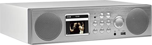 NABO Soundbase Internetradio (DAB+,RDS, UKW Radio, USB, Subwoofer, Multiroom, LAN, WiFi, UpnP, DLNA, Wireless Audio Streaming, Farbdisplay, Steuerung via App iOS und Android, Unterbaumontage, Silber)