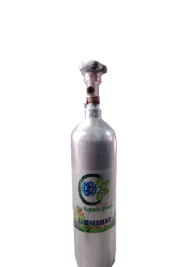 Tah Blueheavens Co2 System for Planted Aquariums – 2 Liters Co2 Tank for Enhanced Plant Growth – Efficient Carbon Dioxide Supply for Healthy Aquatic Plants (B0BW4MMHWR) Amazon Price History, Amazon Price Tracker